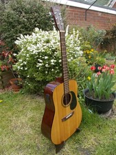 Electro Acoustic Guitar & Case/extras Encore brand number EA255