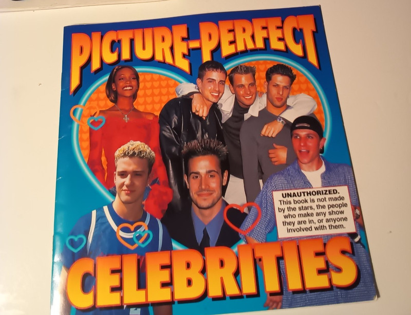 Celebrities Kidsbook Justin Timberlake Fred Prinze Drew Lachey PICTURE PERFECT