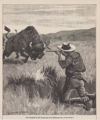 Orig. Holzstich: He dropped on his knees and took deliberate aim at the bison. S