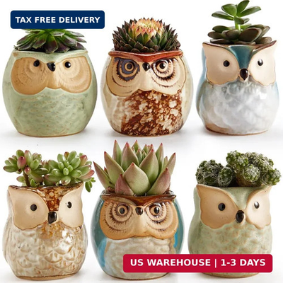 #ad SUN E SE Owl Pot Ceramic Flowing Glaze Base Serial Set Succulent Plant Pot Cactu $46.23