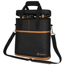 Wine Carrier Bag Insulated 2 3 4 6 Bottle Cooler Protection Carrying Tote Travel