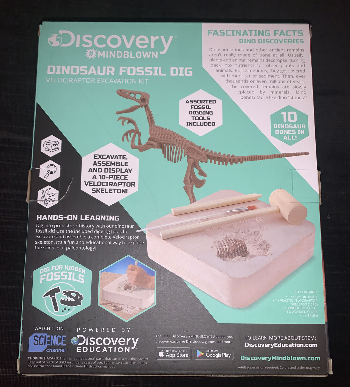 Small Dino 3D Wood Kits - Velociraptor assorted –