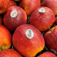 Envy la mela dell’Alto Adige - Confezione box da 3kg mele fresche
