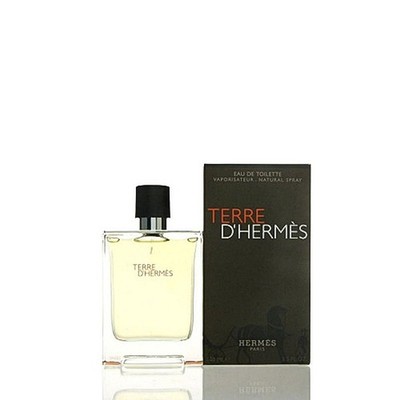 Hermes Terre D Hermes Eau de Toilette Spray 50 ml EDT Spray Herren NEU OVP