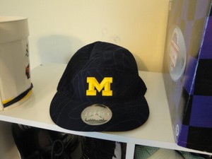michigan jordan hat