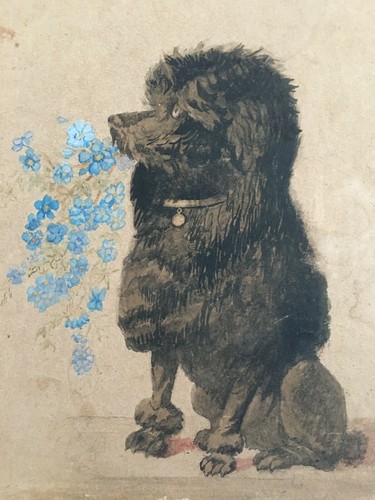 Aquarelle XIXe Belle époque Petit chien Caniche aux fleurs Art Nouveau - Photo 9/10