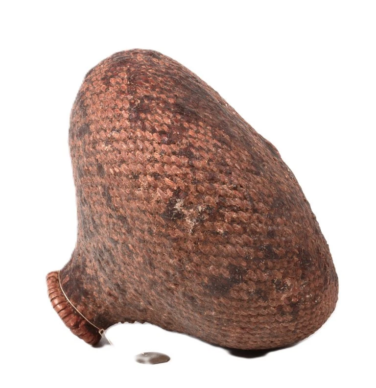 Cesta de agua Paiute Pitch aprox. 1890 Talla 4.875" H x 6" D + 1.5" D Apertura Foto 4 de 4