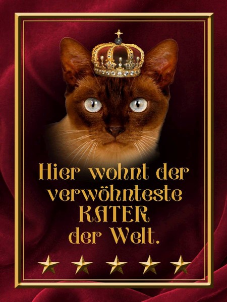 Holzschild 40X30 Cm Hier Wohnt Kater Der Welt Deko Geschenk Holz Schild-image