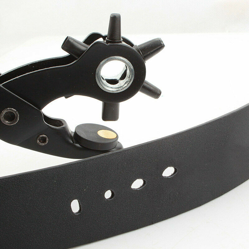 Picture 8 of 13