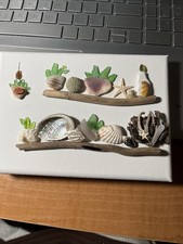 Quadro succulente in vetro marino 5 x 7 con legno alla deriva e conchiglia fatto a mano da me 2026