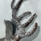 Bild 9 von 14