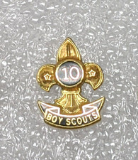 10 Year Volunteer Service Award Boy Scouts Gold Fleur des Lis Larger Version Y10