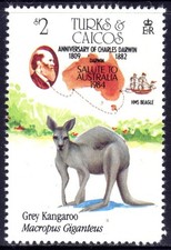 TURKS AND CAICOS ISLANDS used    17/8