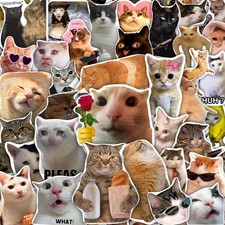 100Pcs Cat Meme Stickers, Funny Sickers for Water Stickers