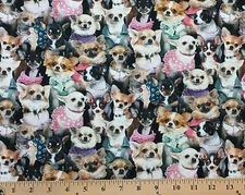 Cotton Best Friend Chihuahuas Dogs Cotton Fabric Print by the Yard D759.64