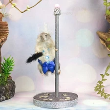 Stripper Mouse Pole Burlesque Showgirl Taxidermy Oddities Curiosities Decor