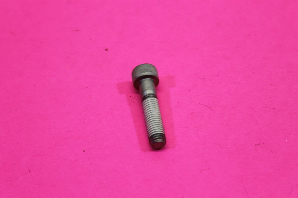 NUEVO DE LOTE POLARIS VICTORIA CLÁSICO CRUCERO TORNILLO CANTIDAD 1 PIEZA # 7518122 Foto 3 de 4