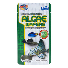 Hikari Algae Wafers - 0.70 oz