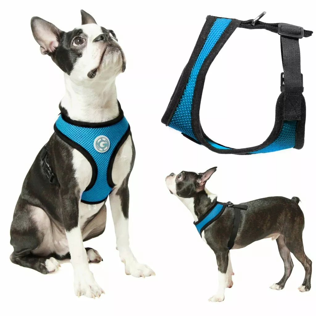 Gooby top dog leash