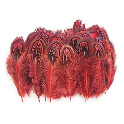 50 Pheasant Plumage Feathers - 2-3 Inch - 50pcs Red