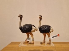 Rare & Retired Schleich Ostrich Bird (14325) Wild Life Animal Figure