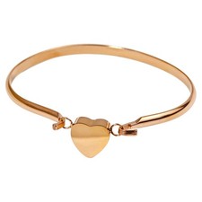 Heart Urn Bracelet For Cats Dogs Ashes Stainless Steel Waterproof Rose Gold 