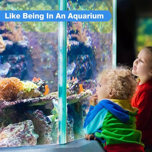 LED Aquarium Lampe 19cm-90cm Leuchten Mollusken Beleuchtung RGB Aquariumleuchte - Bild 8 von 40