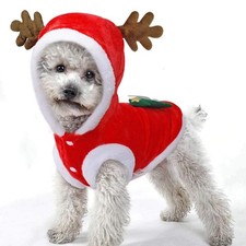 Pet Dog and Cat Christmas Clothes Costume, Large Large, Multicolor