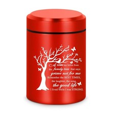 Small Cremation Urn for Human Ashes Keepsake Mini Memorial Adult Male Female