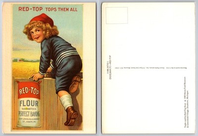 Continental Red Top Flour Child Advertising Postcard
