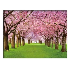 Landscape Tree 3D Poster Wall Art Decor Print ，Beautiful Nature Scene of