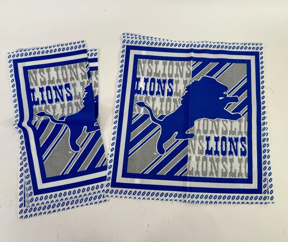 6 paneles de tela vintage Detroit Lions Foto 2 de 4