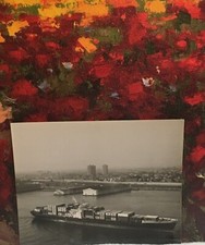 Delta Steamship Lines Classic Ship - Vintage 8x10 Photo - SS Santa Paula 1980's