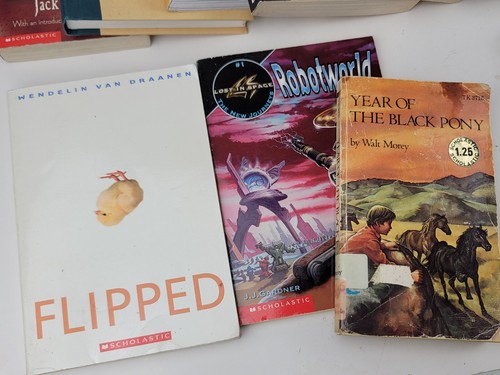 18 Assorted Lot Of Scholastic Book Lot Of 18 Scholastics GOOD OVERALL COND. - Picture 7 of 12