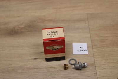 Briggs & Stratton 299060 Valve Kit Needle NOS NEU genuine xn17439