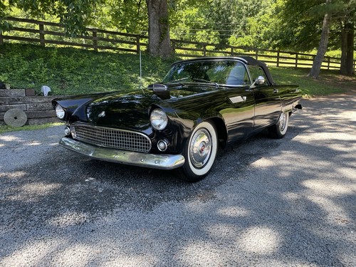 1955 Ford Thunderbird