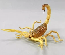 Mini Figure Obtoscorpion Death Stalker Capsule Q Museum Toxic Dangerous Animals