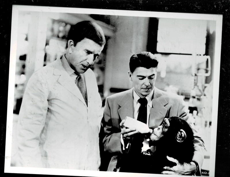 SUPER RARE!! ORIGINAL 8X10 1950s RONALD REAGAN - MAN AND CHIMP