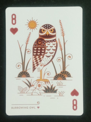 Bird in the Hand Playing Card Burrowing Owl 8 Hearts