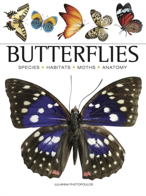 Butterflies by Julianna Photopoulos (Paperback Book)