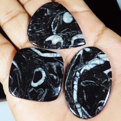 Natural Black Orthoceras Cabochon Lose Edelstein 105.40 Ct 3er Lot