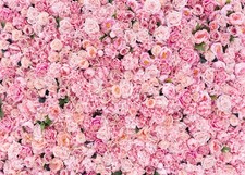 Flower Wall Photo Backdrop 7x5 FT Pink Rose Floral Spring Party Decor F58
