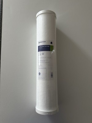 PENTAIR RFC-20BB CARBON GRANULATFILTER 70ΜM 20 ZOLL FÜR BIG BLUE