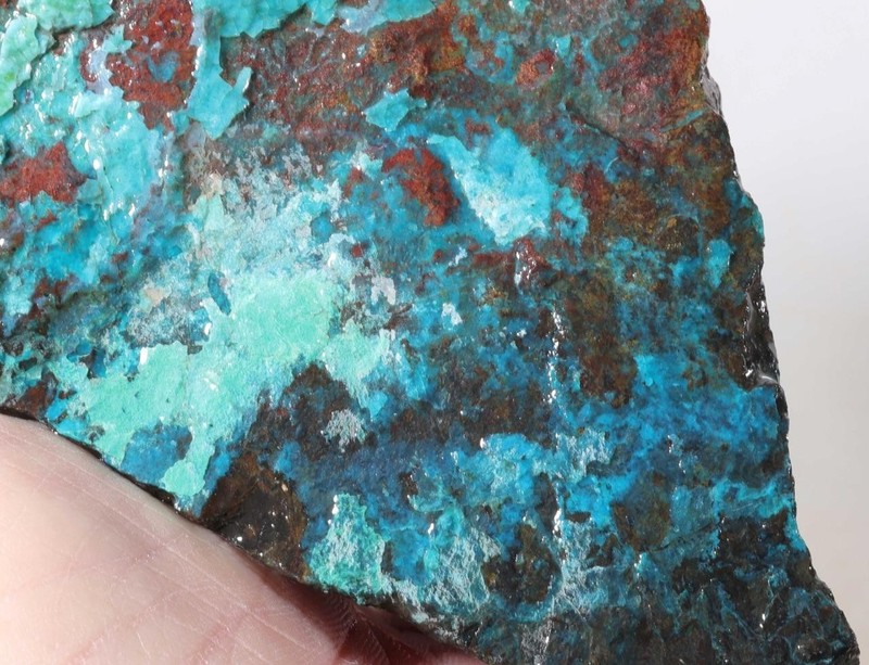 Mexico Copper Complex lapidary 3 lb Chrysocolla Matrix rough