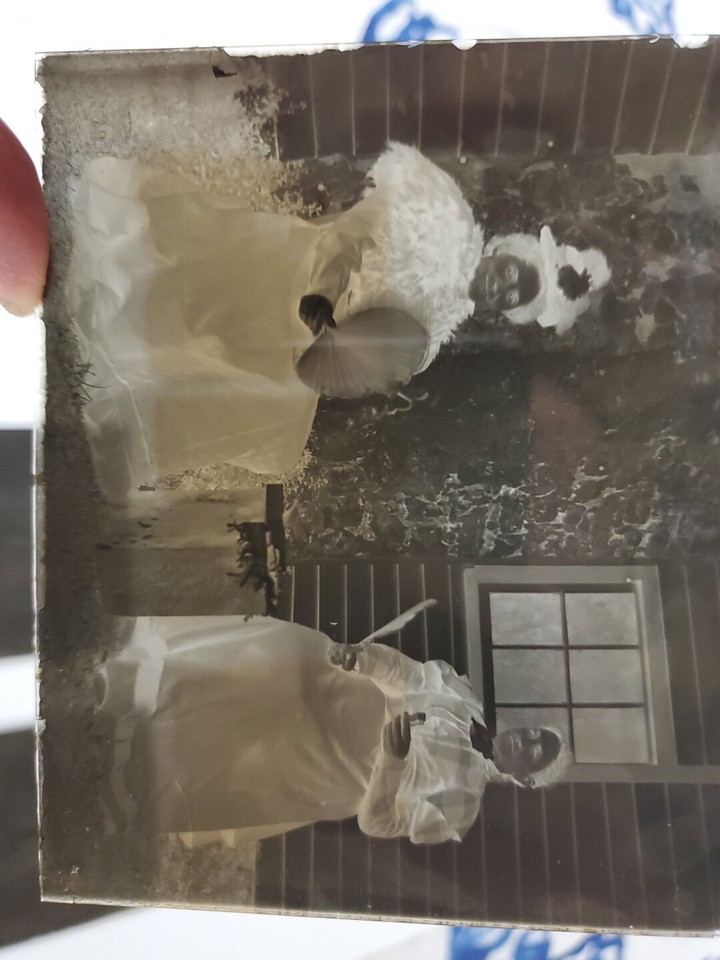 Glass Photo Negatives Of 5 Named People Circa 1900 From DC Area Women