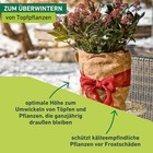 Bild 4 von 6