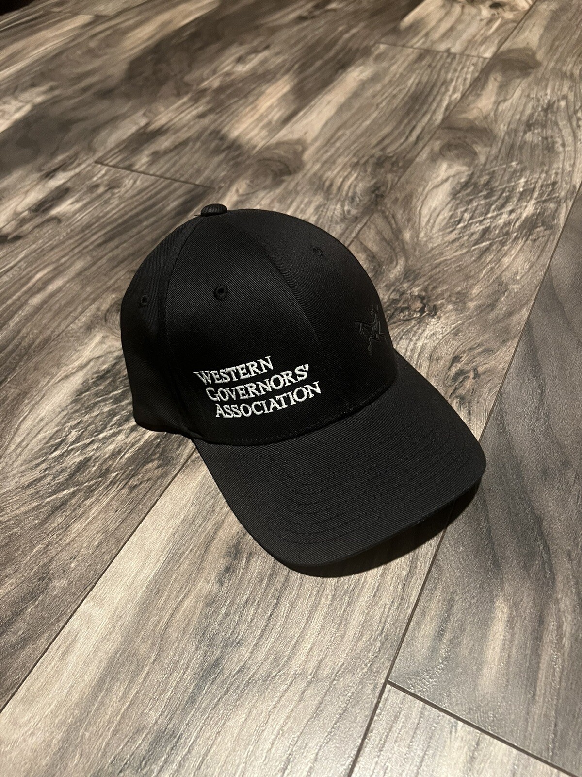 Cappello da ballo Arc'teryx Jackson Hole Western Governors Association Cappello Flexfit piccolo