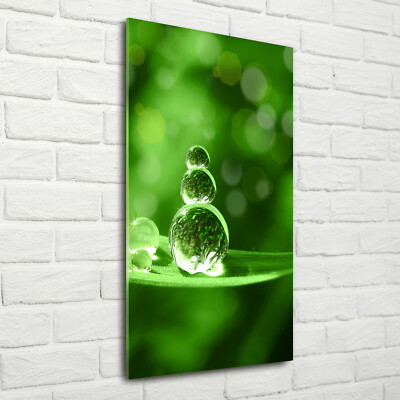 Wand-Bild Kunstdruck aus Hart-Glas Hochformat 70x140 Tropfen auf Gras