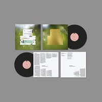 Spiritualized - Everything Was Beautiful - Vinyl Record - G3Z