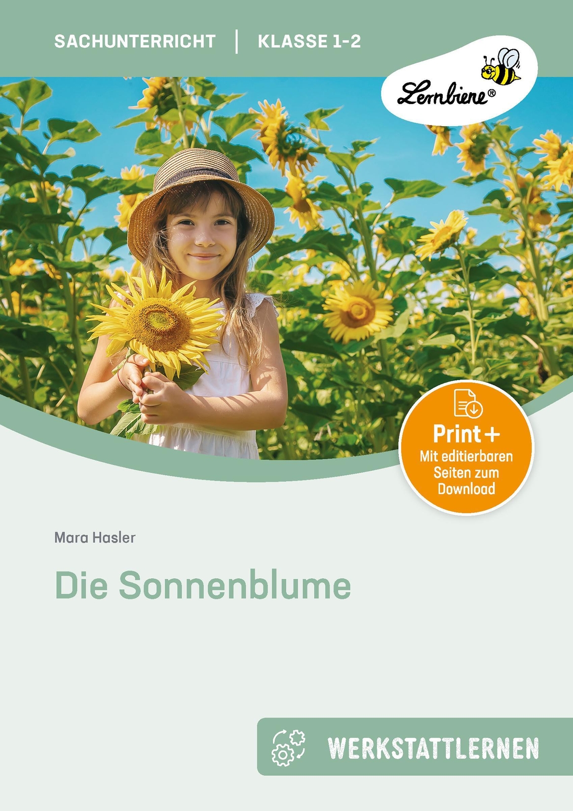 Thumbnail - Die Sonnenblume. Grundschule, Sachunterricht, Klasse 1-2 (1. Und 2.